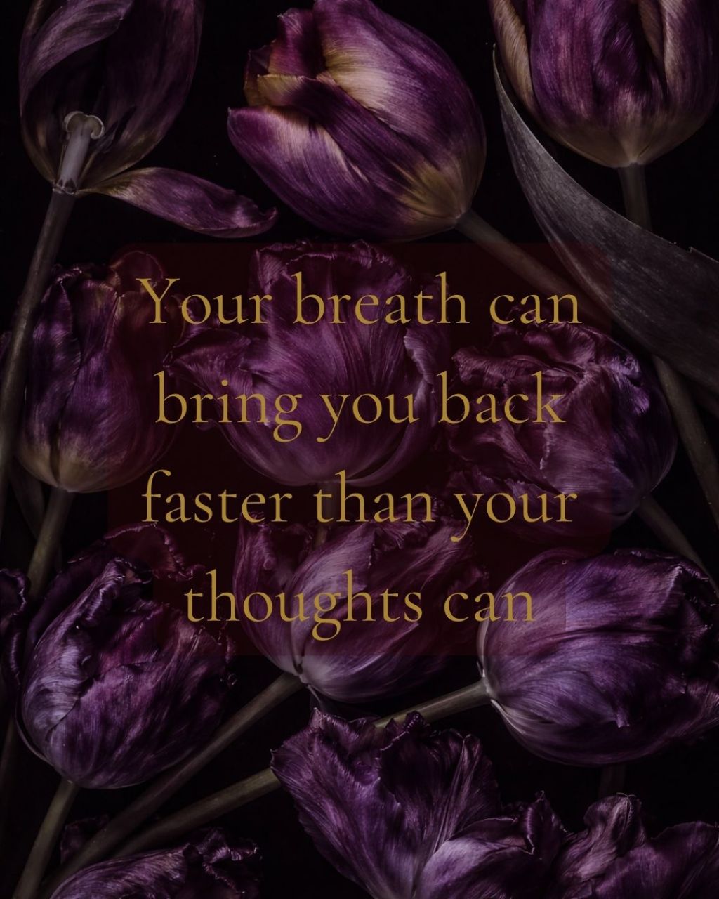 Your breath can bring you back faster than your thoughts&nbsp;can