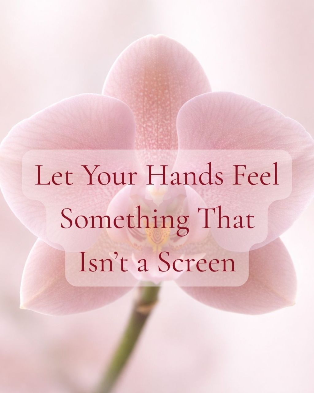 Let Your Hands Feel Something That Isn’t a Screen