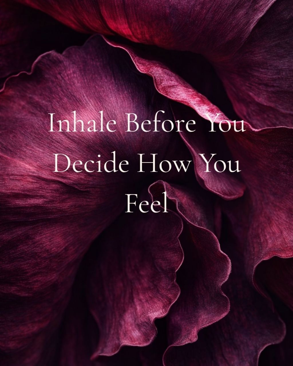 Inhale Before You Decide How You Feel
