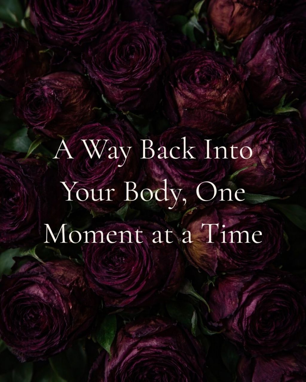 A Way Back Into Your Body, One Moment at a Time
